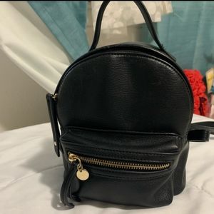 EXPRESS backpack/purse